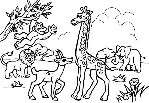 رسومات تلوين دب العسل