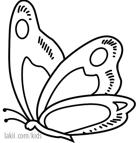 رسومات تلوين دب العسل