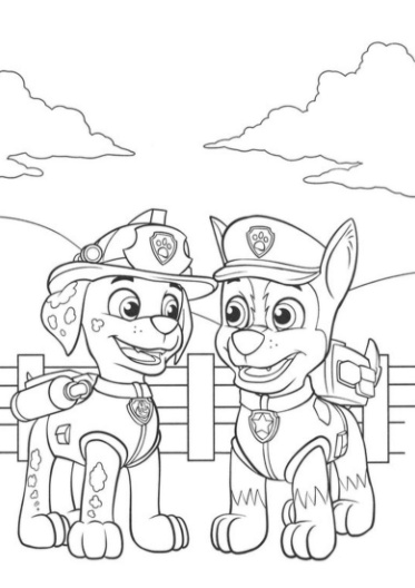 رسومات تلوين دوريات المخلاب