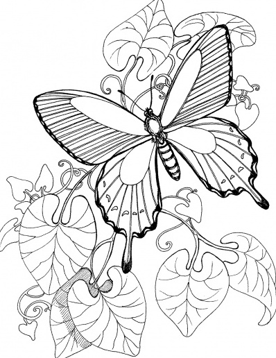 رسومات تلوين ديناصورات