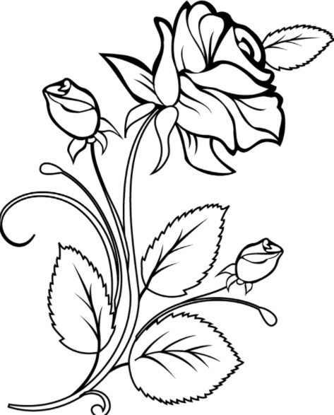 رسومات تلوين ديناصورات