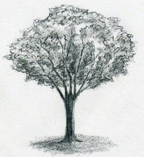 رسومات تلوين شمس