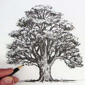رسومات تلوين شمس