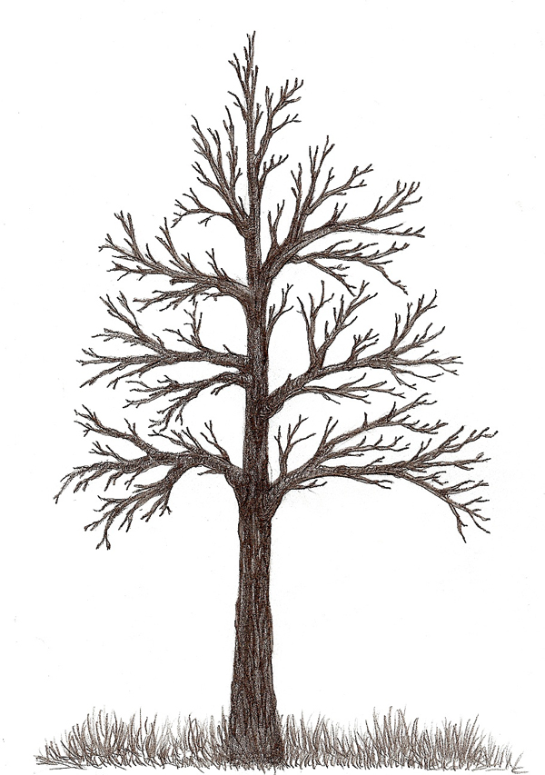 رسومات تلوين شمس