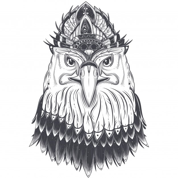 رسومات تلوين صقر