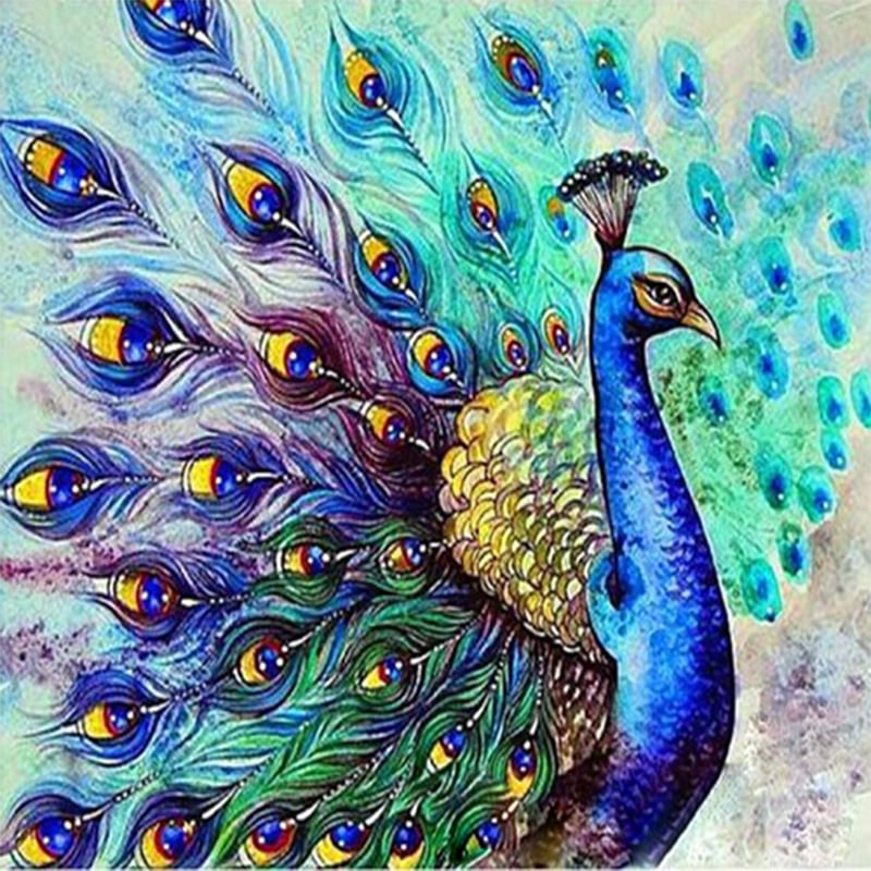 رسومات تلوين طاووس