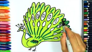 رسومات تلوين طاووس
