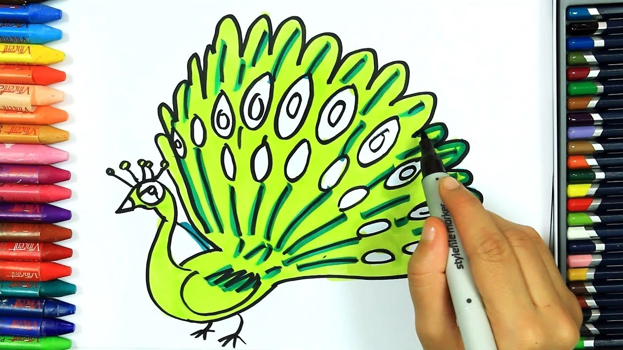 صورة رسومات تلوين طاووس