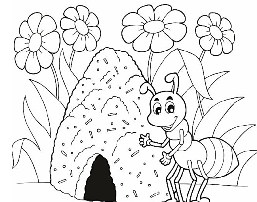 رسومات تلوين نمل