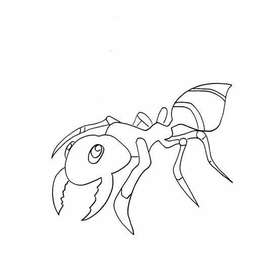 رسومات تلوين نمل