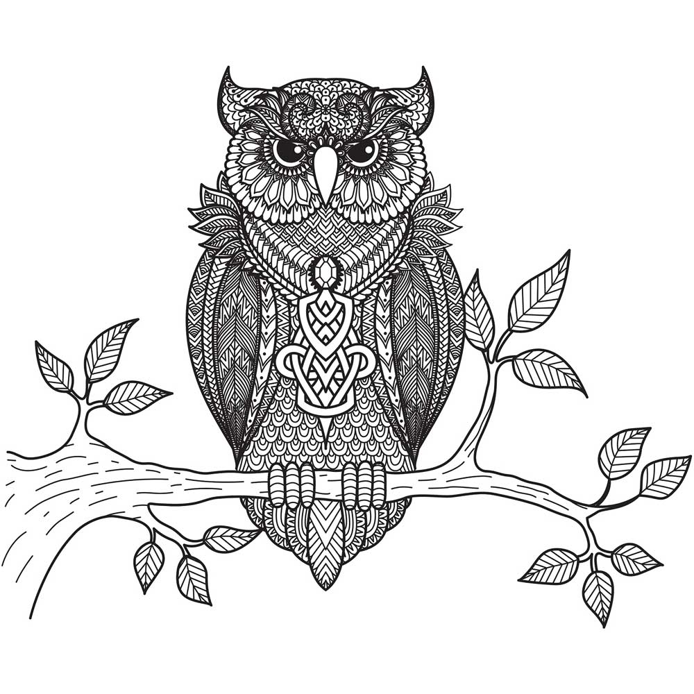 رسومات تلوين