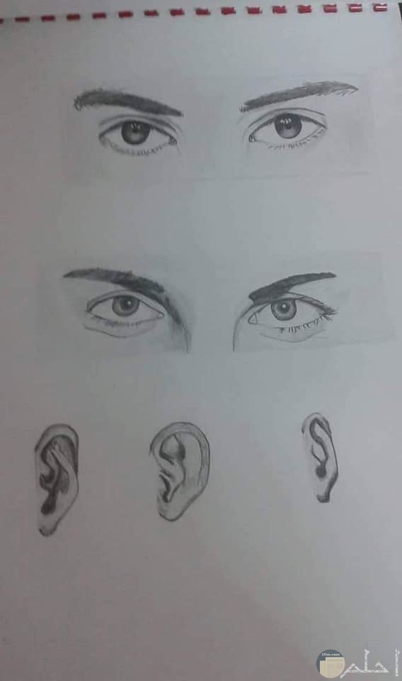 رسومات جميلة