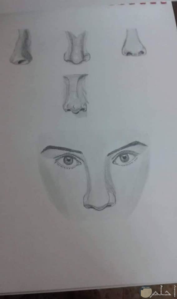 رسومات جميلة