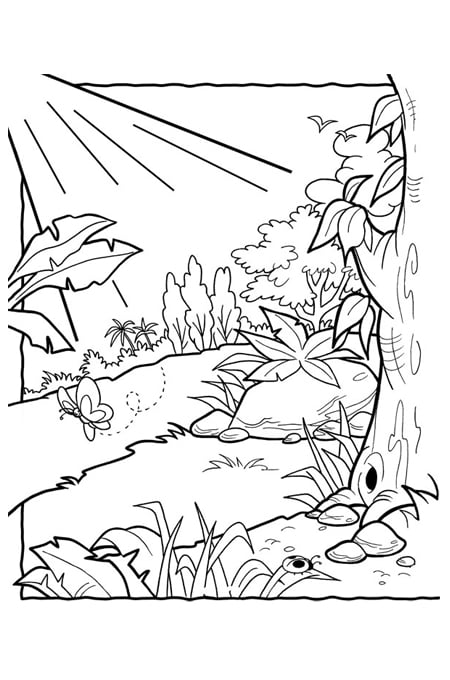 رسومات غابات للتلوين
