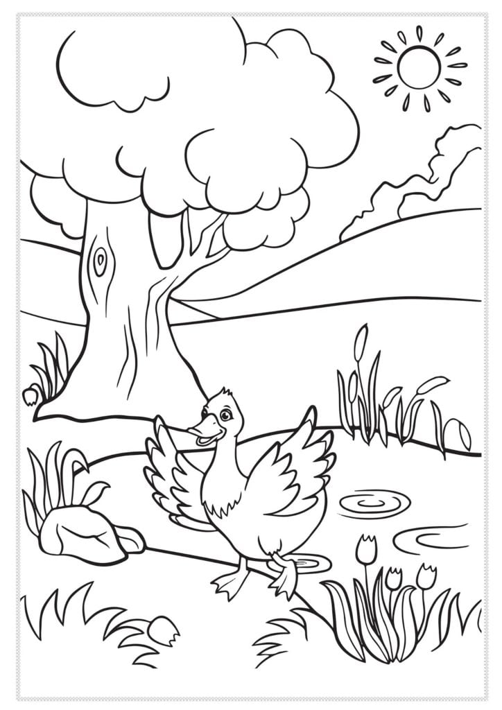 رسومات غابات للتلوين
