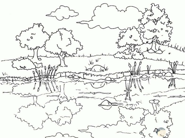 رسومات غابات للتلوين