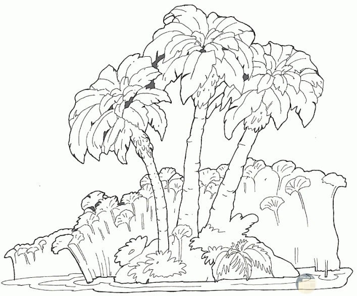 رسومات غابات للتلوين
