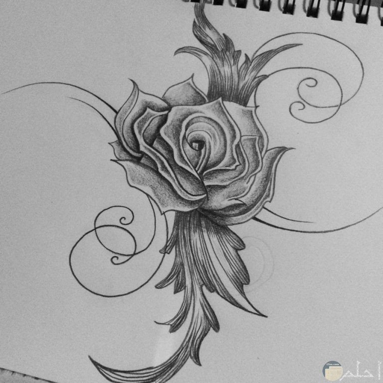 رسومات كيوت - مجموعة من أفضل رسومات كيوت ورسومات كيوت للتلوين ورسومات كيوت صغيرة