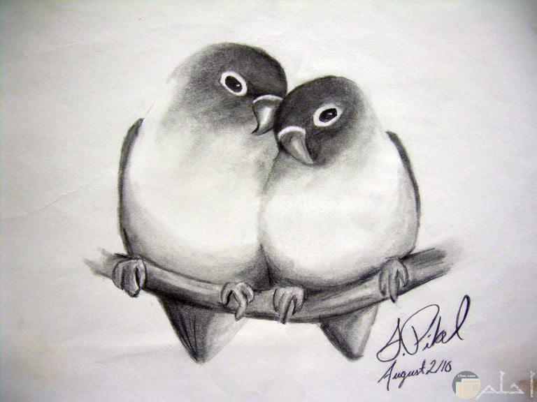 رسومات كيوت - مجموعة من أفضل رسومات كيوت ورسومات كيوت للتلوين ورسومات كيوت صغيرة