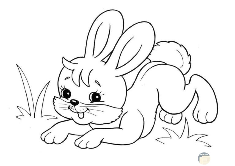 رسومات للتلوين فلة