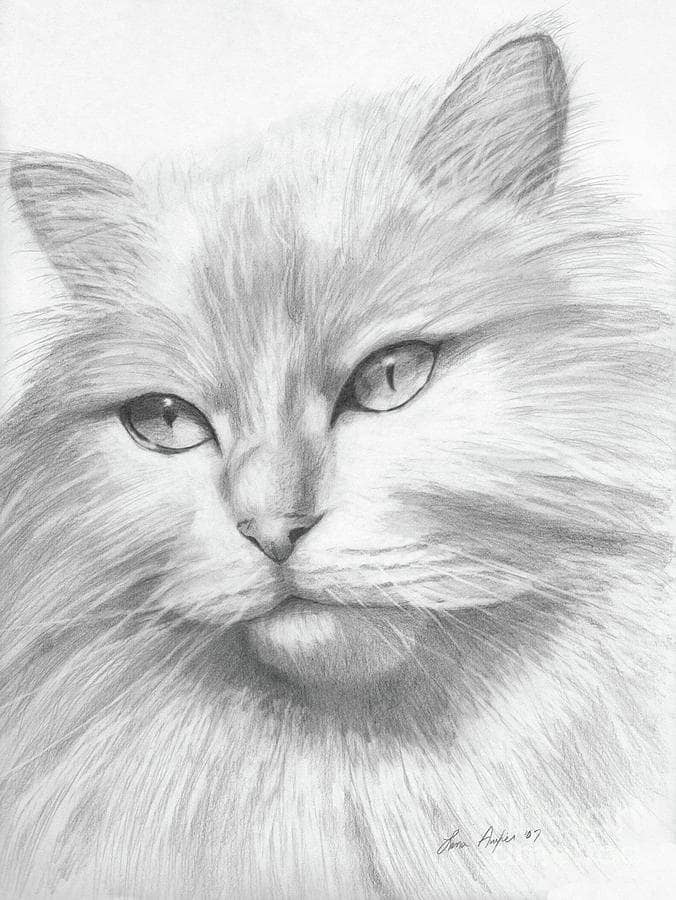 رسومات للتلوين قطط