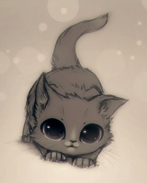 رسومات للتلوين قطط