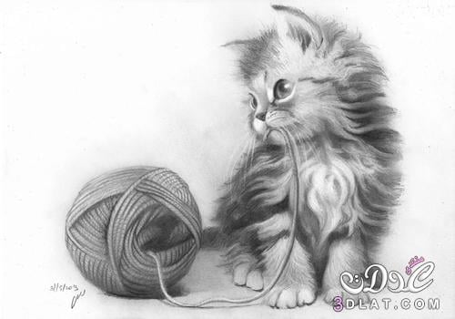 رسومات للتلوين قطط