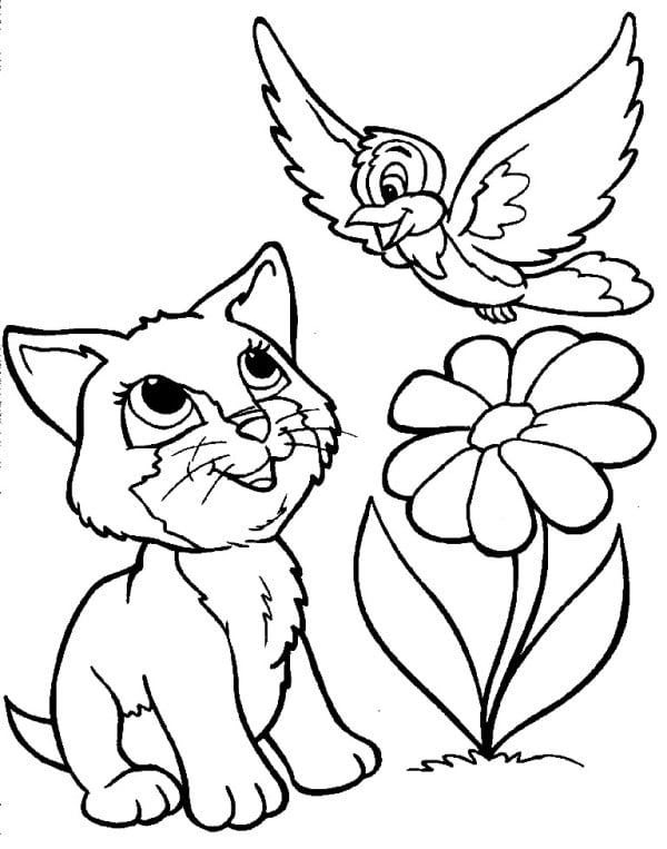 رسومات للتلوين قطط