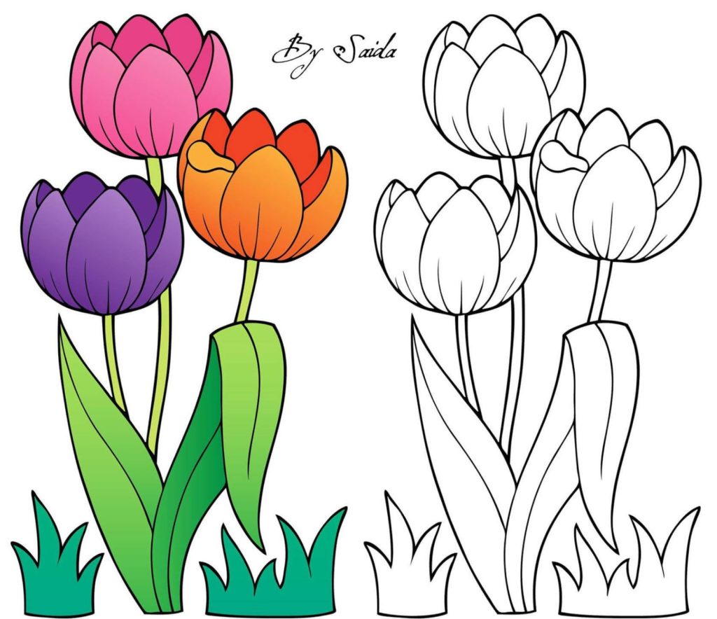 رسومات للتلوين مع النموذج