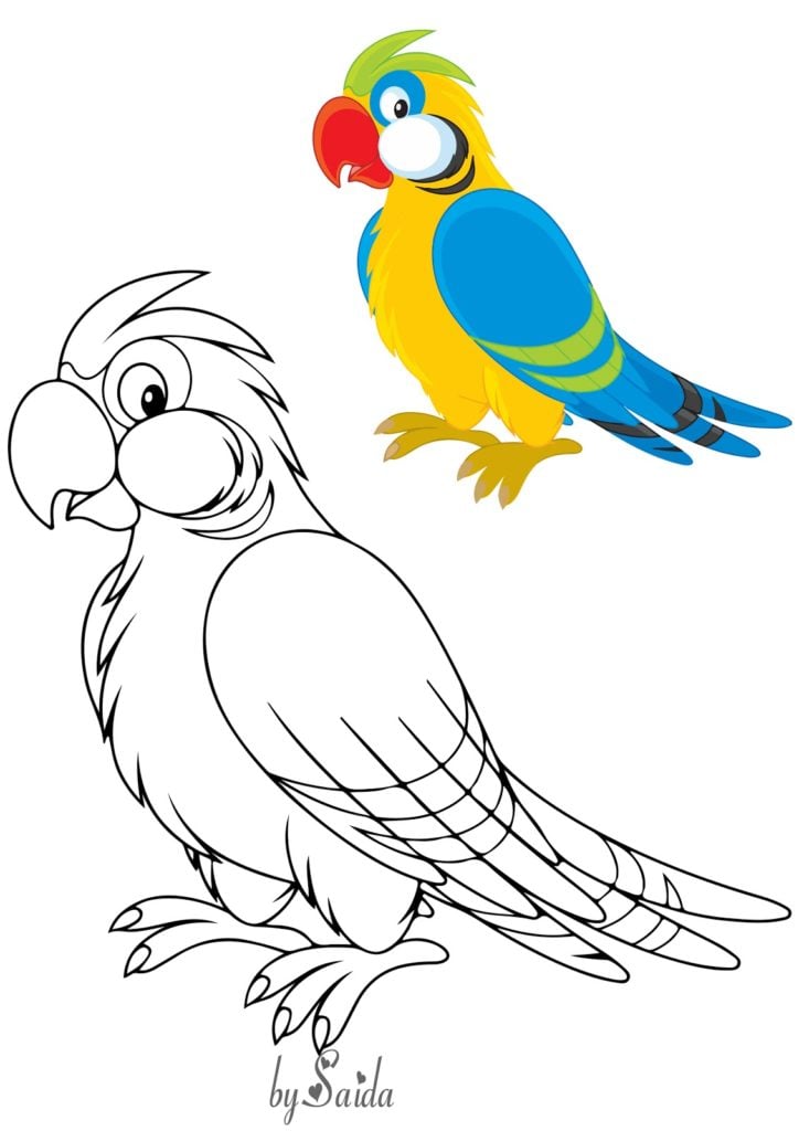 رسومات للتلوين مع النموذج