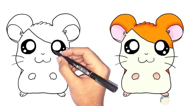 رسومات للمبتدئين