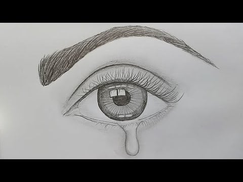 رسومات للمبتدئين