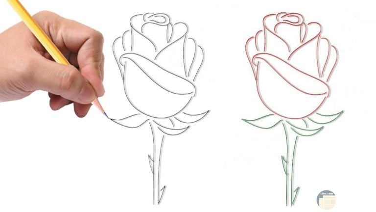 رسومات