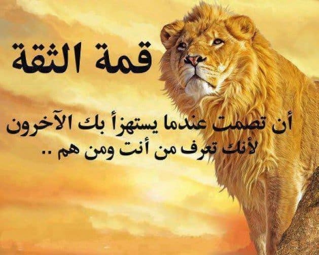 رمزيات ثقة بالنفس