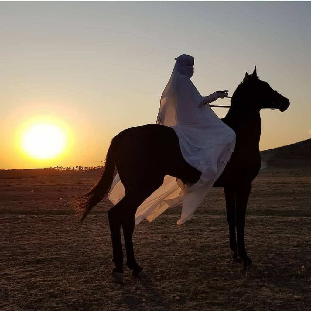 رمزيات خيول وبنات
