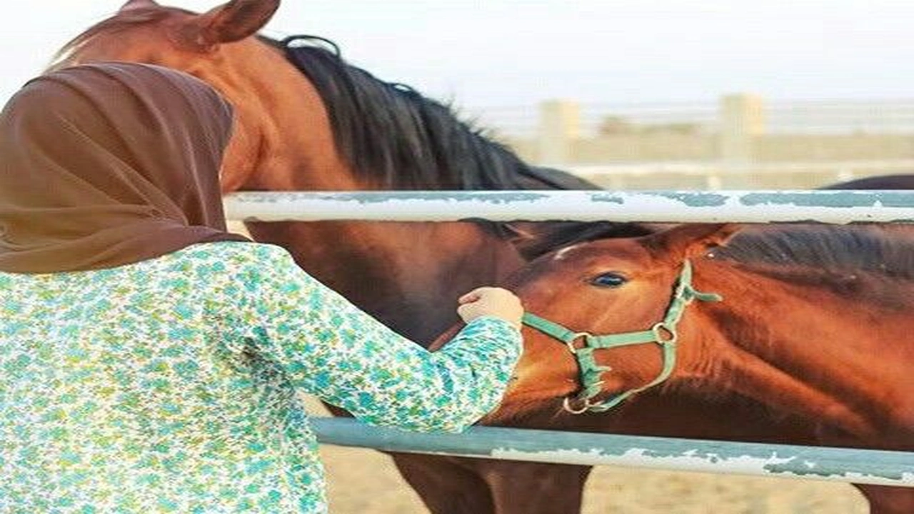 صورة رمزيات خيول وبنات