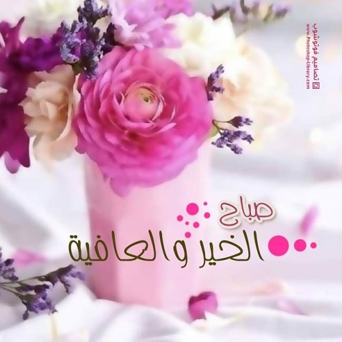 رمزيات صباحية جديدة