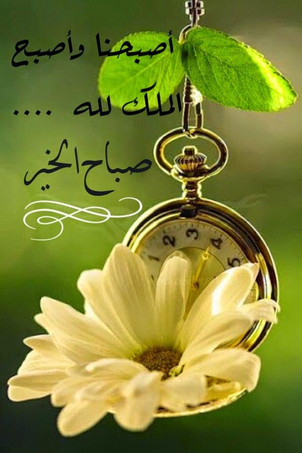 رمزيات صباحية جديدة