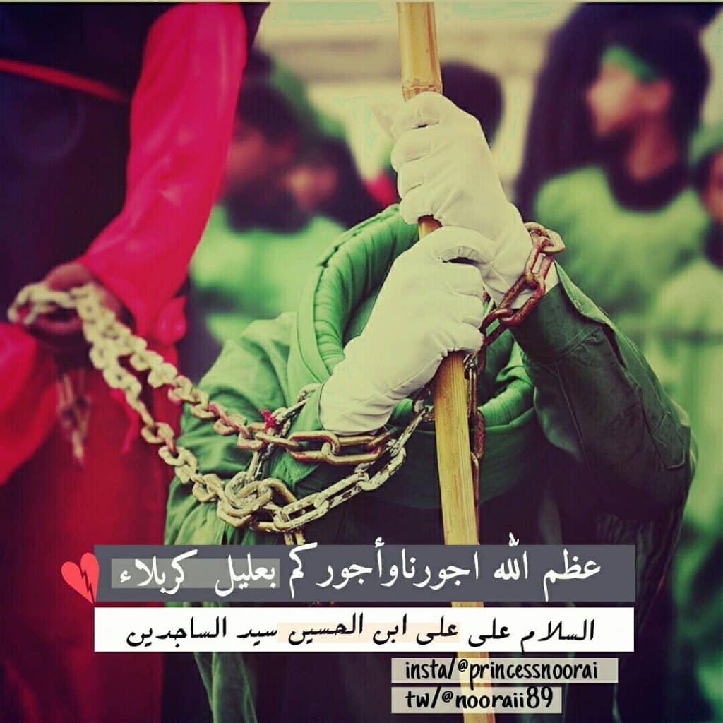 رمزيات ضريح الامام العباس
