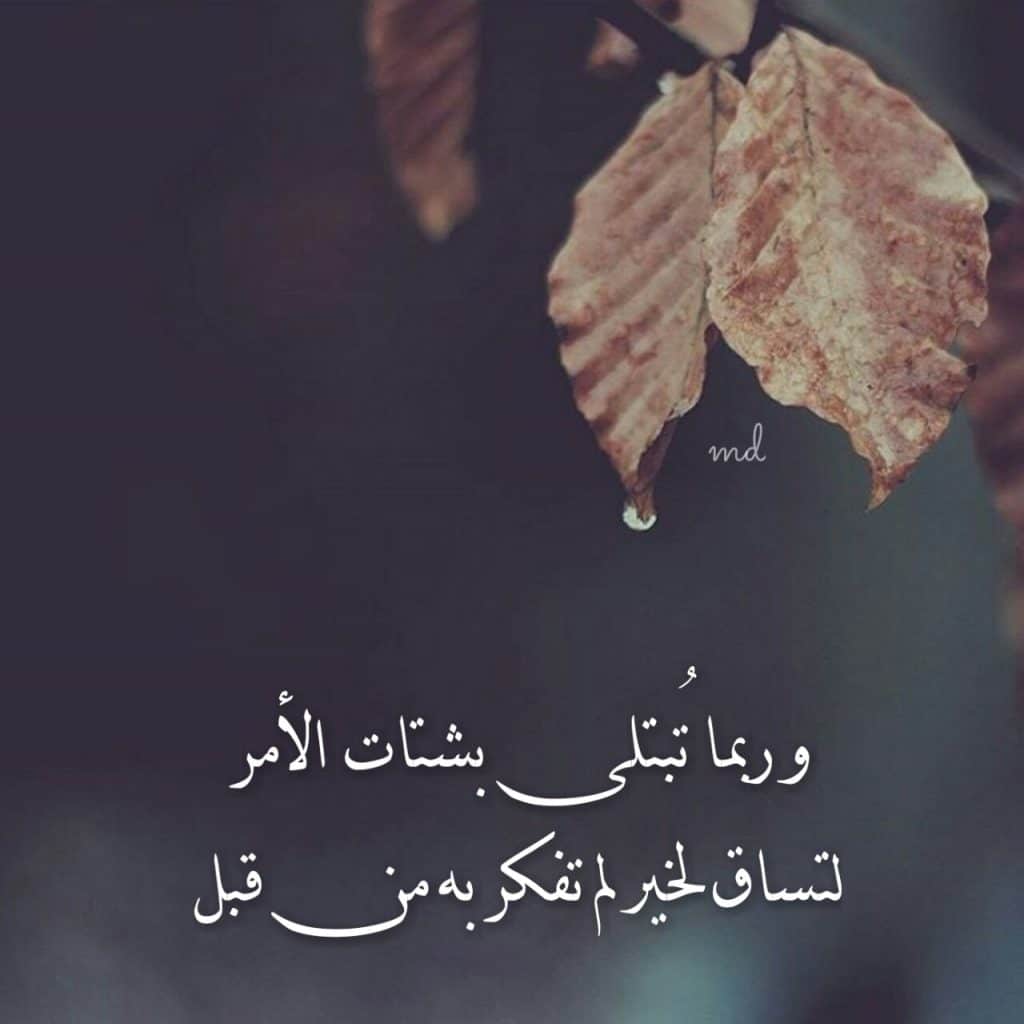 رمزيات فخمه