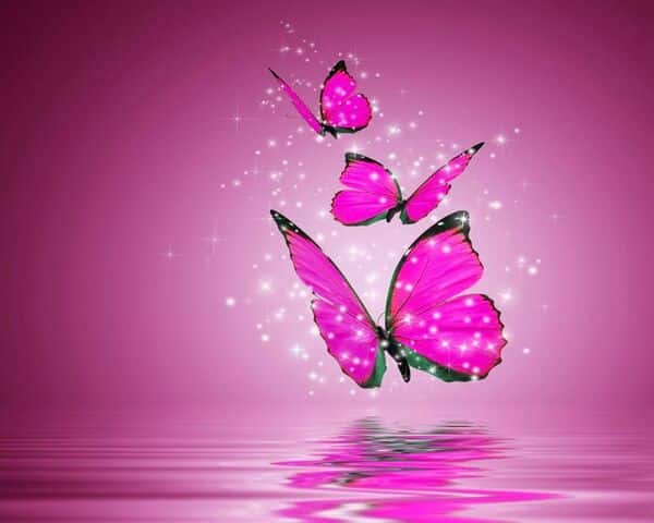 رمزيات فراشات