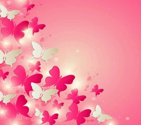 رمزيات فراشات