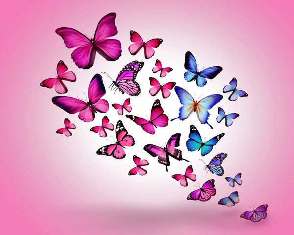 رمزيات فراشات