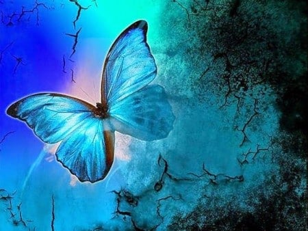 رمزيات فراشات