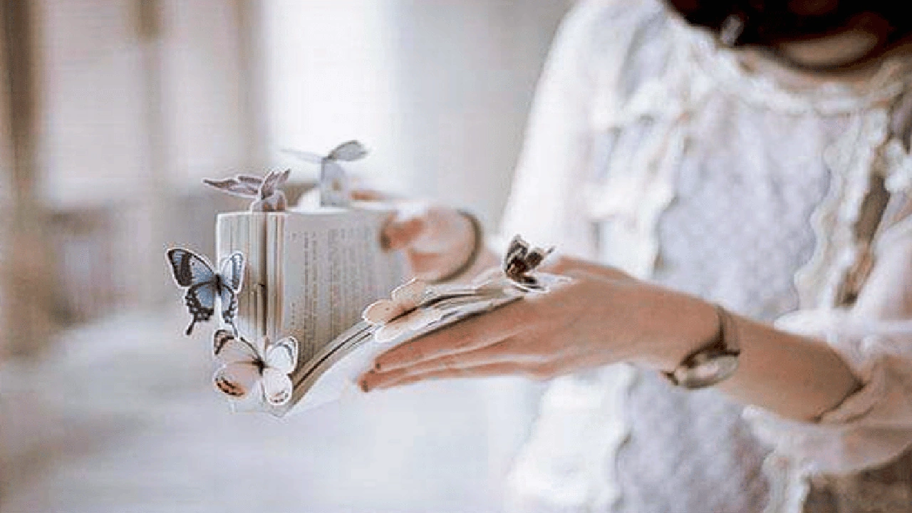 صورة رمزيات فراشات