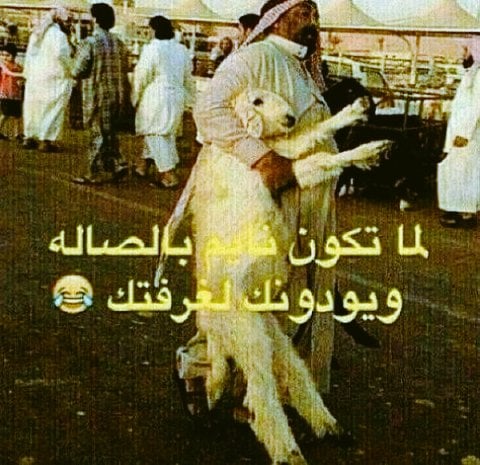رمزيات مضحكة