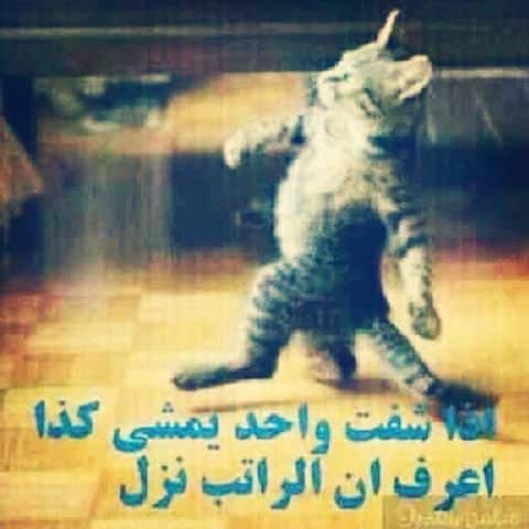 رمزيات مضحكة