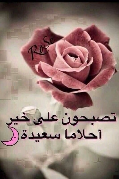 رمزيات مكتوب عليها تصبحون علي خير