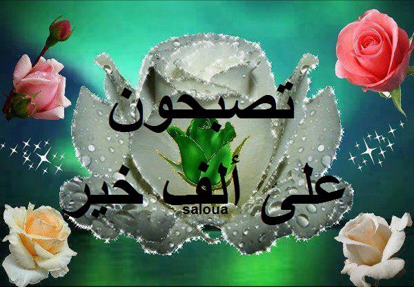 رمزيات مكتوب عليها تصبحون علي خير