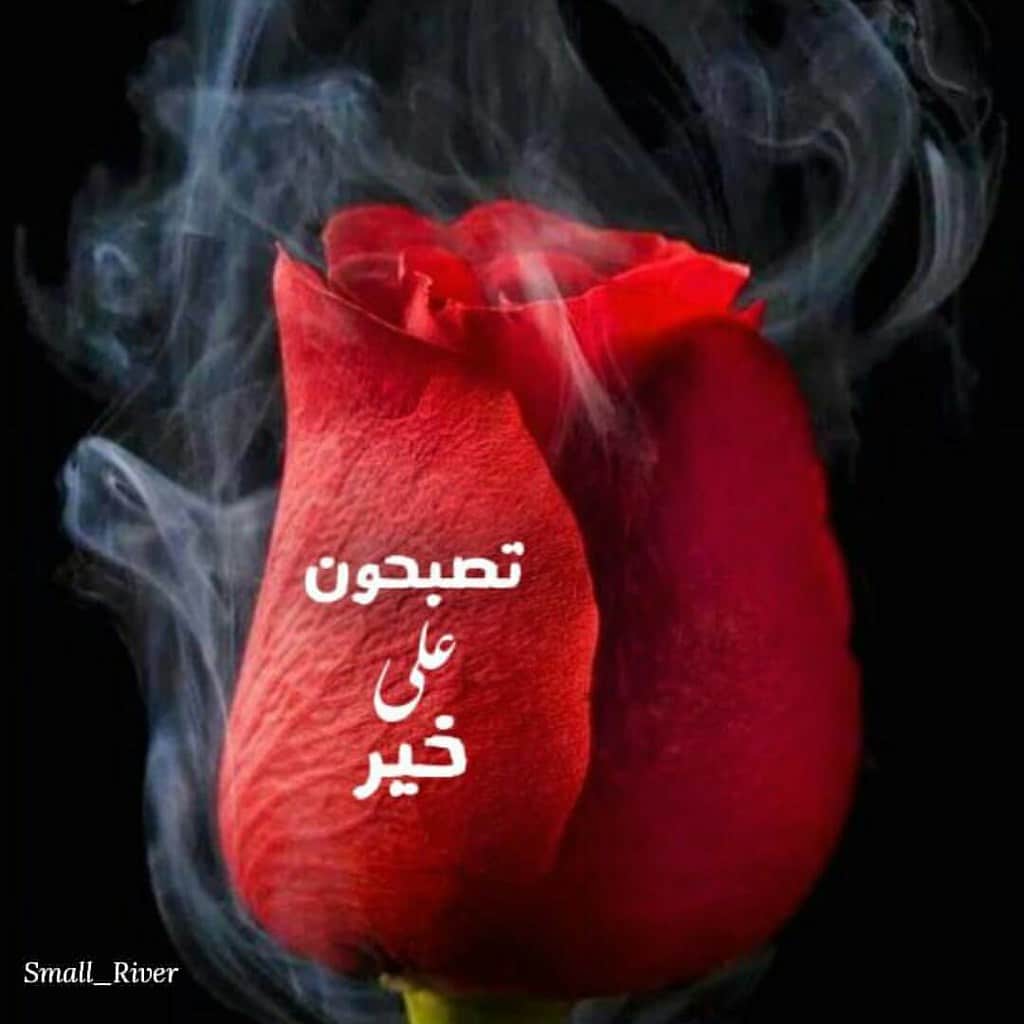 رمزيات مكتوب عليها تصبحون علي خير